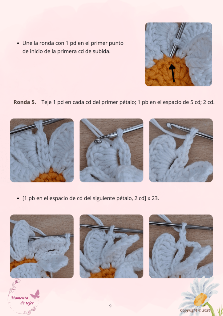 posavasos margarita patron de crochet 9