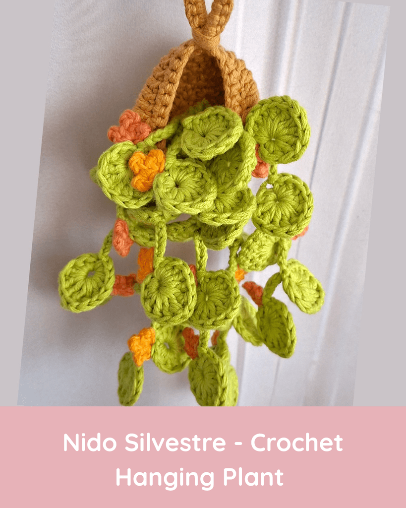 nido silvestre crochet hanging plant