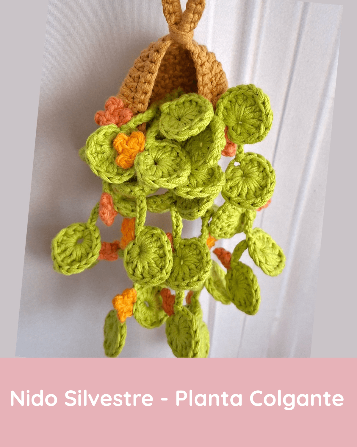 Patrones Gratuitos de Crochet nido silvestre planta colgante