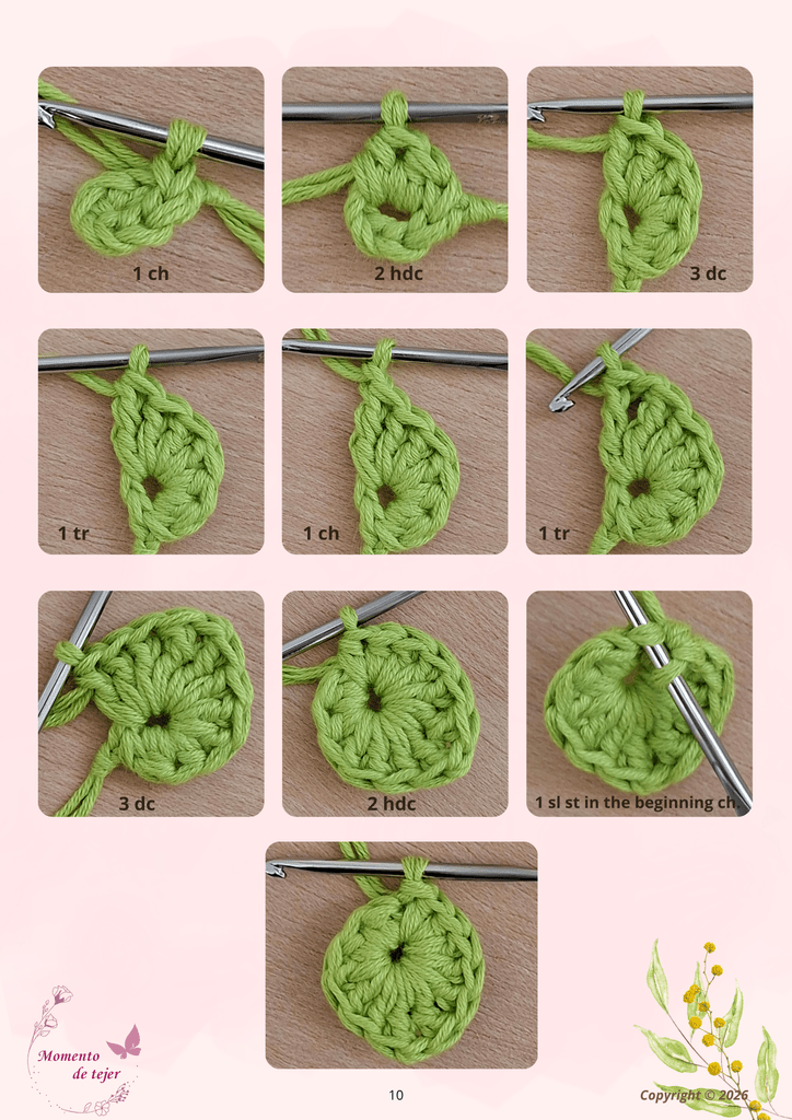 Nido Silvestre (Wild Nest ) - Free Crochet Pattern wild nest 10