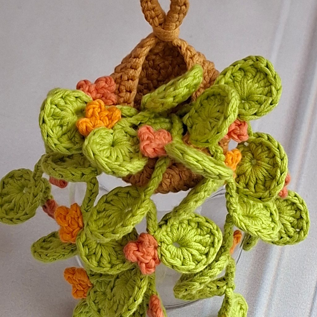 Nido Silvestre (Wild Nest ) - Free Crochet Pattern wild nest crochet hanging plant 2
